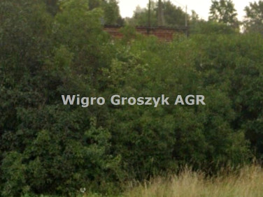 Pusta działka Secyminek