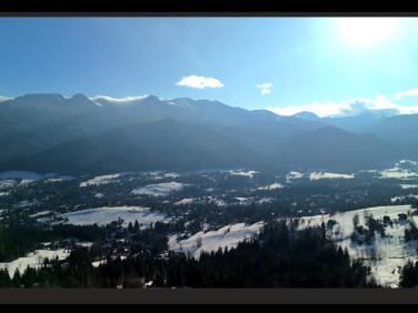 Działka leśna Zakopane