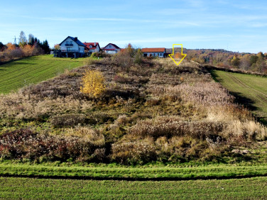 Pusta działka Trąbki