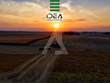 Działka budowlana Ciele