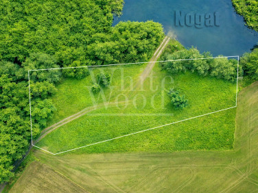 Dom wolnostojący sprzedaż