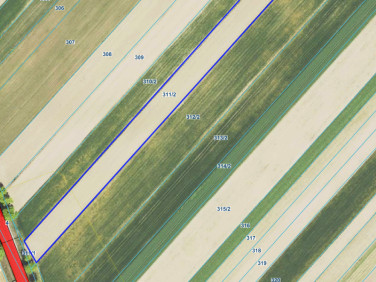 Działka rolna Siemień Nadrzeczny