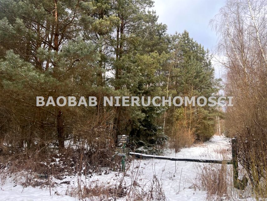 Działka siedliskowa Grabce-Towarzystwo