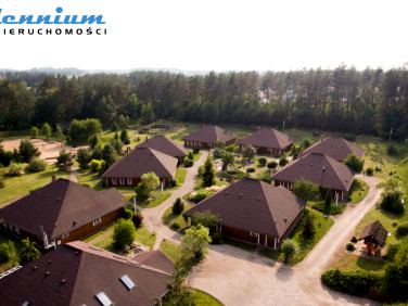 Lokal Borek Kamienny