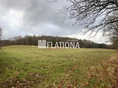 Działka rekreacyjna Paraszyno