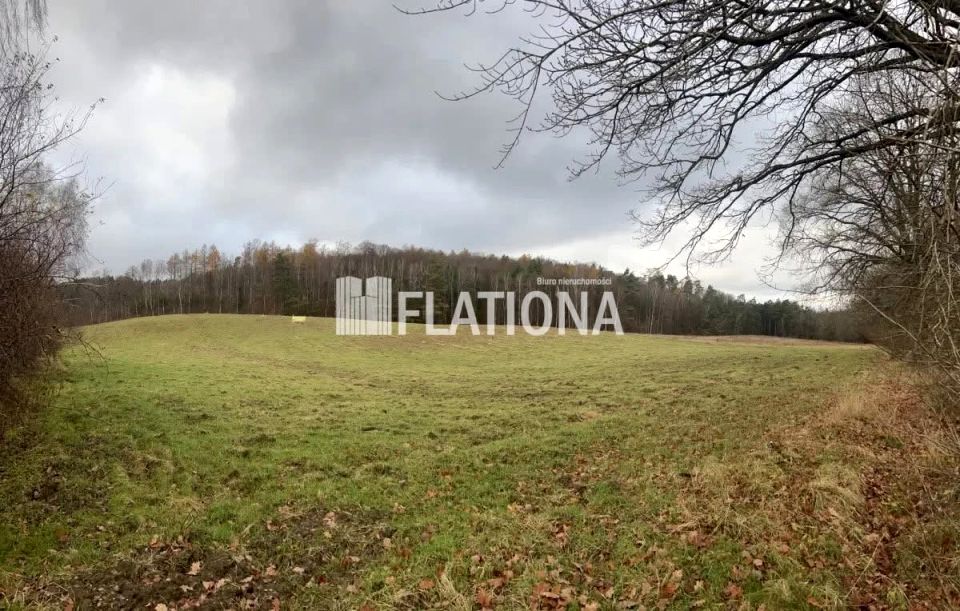 Działka rekreacyjna Paraszyno