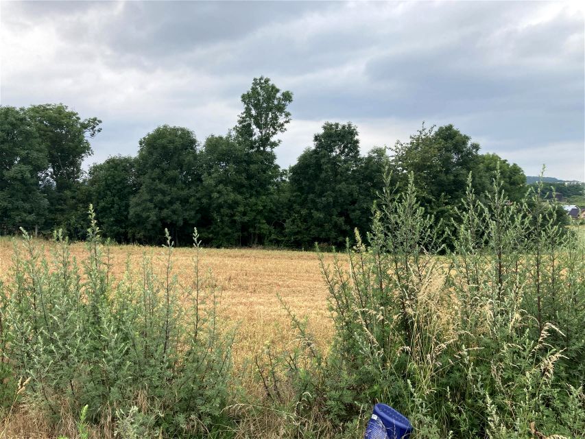 Działka budowlana Wisznia Mała sprzedam