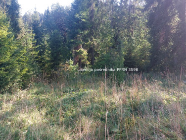 Działka leśna Lipnica Wielka