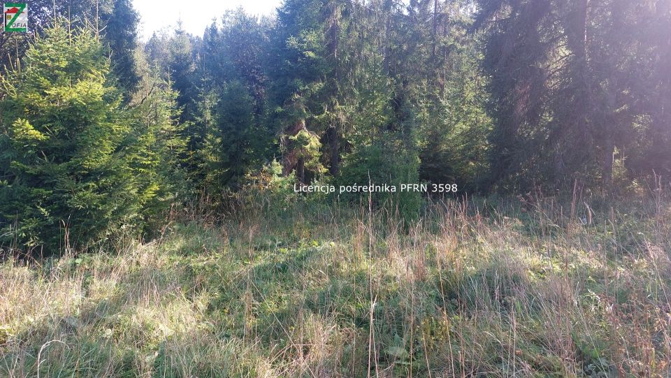 Działka leśna Lipnica Wielka