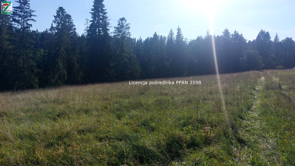 Działka leśna Lipnica Wielka sprzedam
