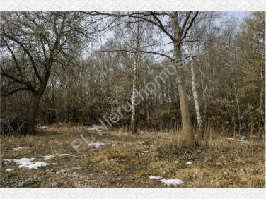 Działka usługowa Oddział