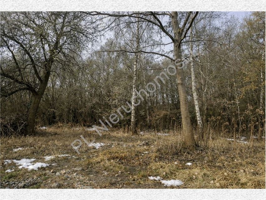 Działka usługowa Oddział