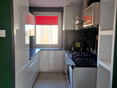 Mieszkanie blok mieszkalny wynajem