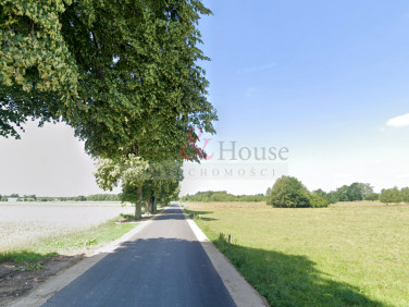 Działka rolna Augustynka