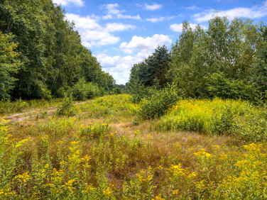 Działka budowlano-rolna Glina