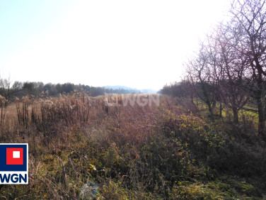Działka rolna Częstochowa