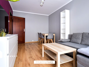 Mieszkanie Poznań wynajem