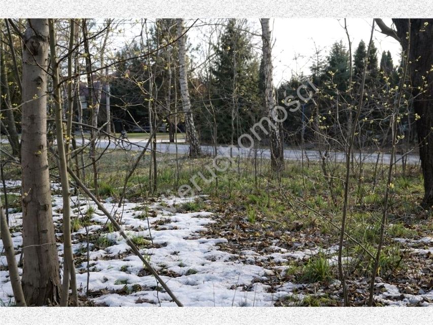 Działka budowlana Adamowizna