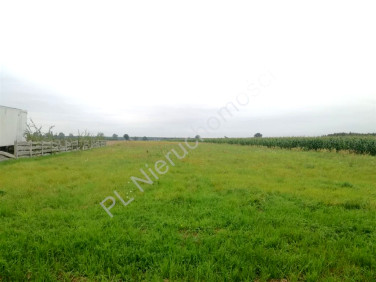 Działka budowlano-rolna Pniowe