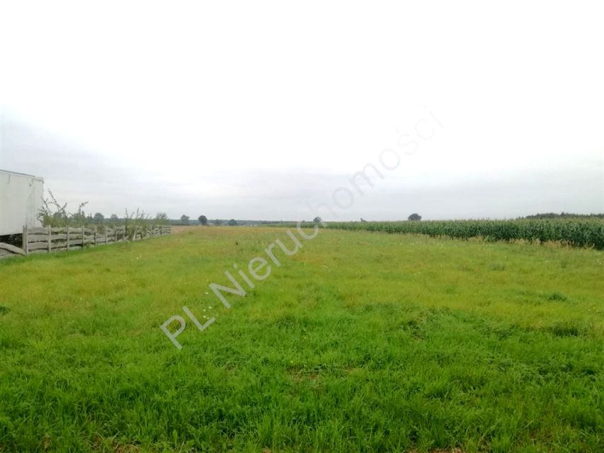 Działka budowlano-rolna Pniowe