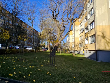 Mieszkanie Bielsko-Biała