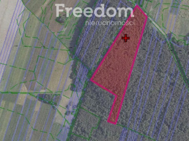 Działka leśna Olędy