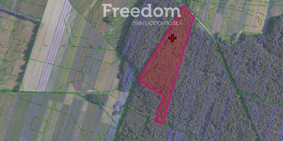 Działka leśna Olędy