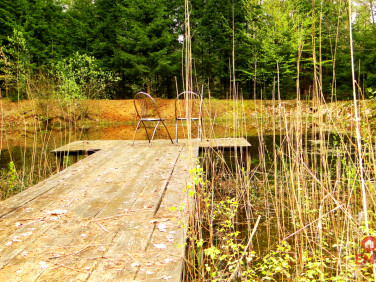 Działka rekreacyjna Rafałówka