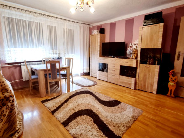 Mieszkanie Modrzewiec