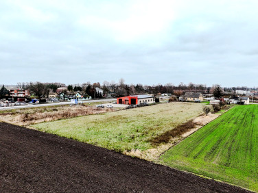 Działka rolna Bedlno