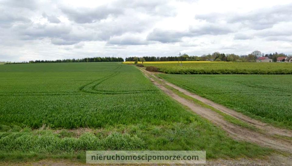 Działka rolna Krzemieniewo