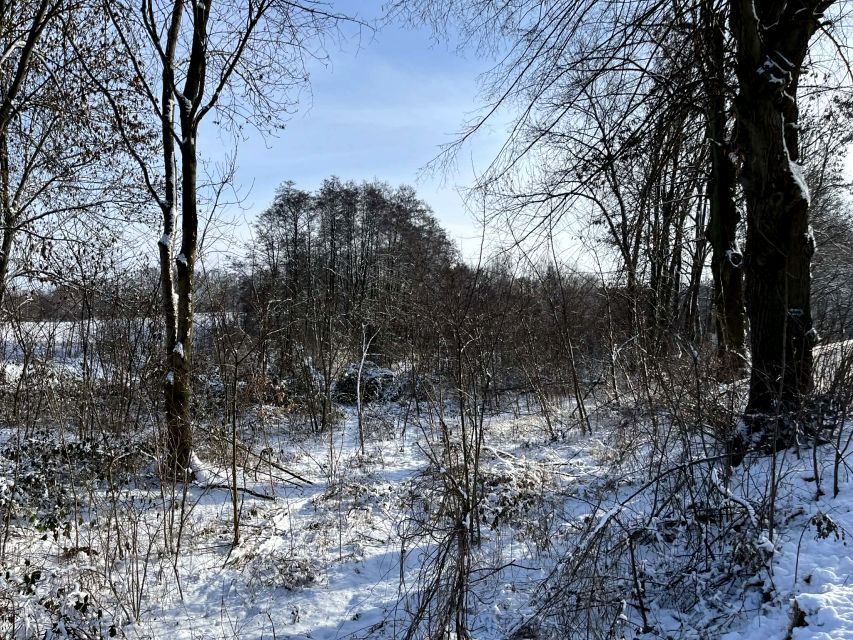 Działka budowlana Kuraszków