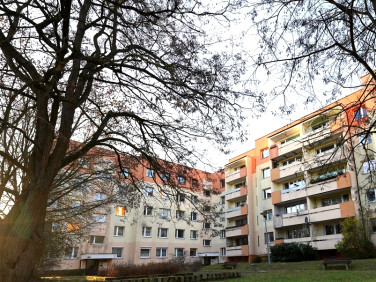 Mieszkanie Szczecin sprzedaż