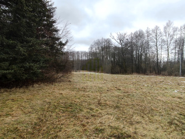 Działka siedliskowa Żabia Wola