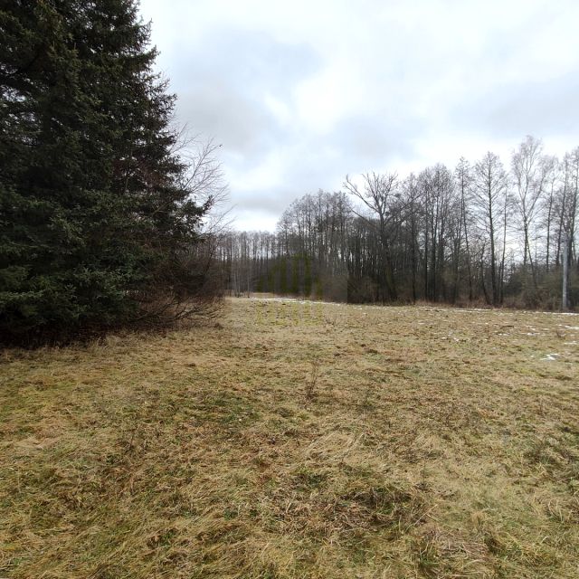 Działka siedliskowa Żabia Wola