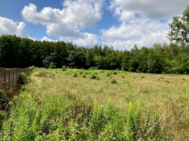 Działka budowlana Aleksandrów Łódzki