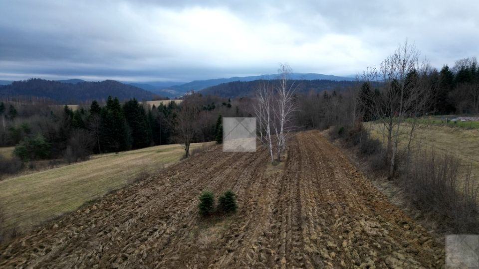 Działka siedliskowa Wołkowyja