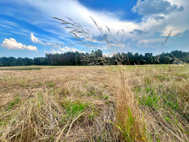 Działka budowlana Jeleńska Huta