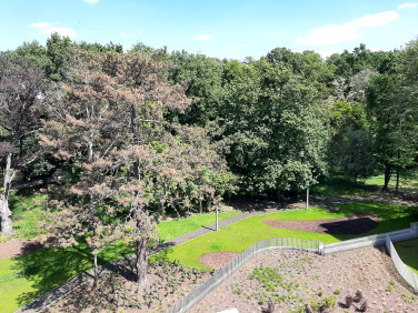 Mieszkanie nad rzeką