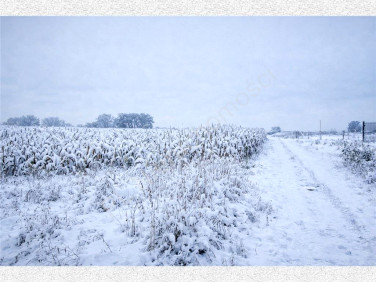 Działka budowlana Chlebnia