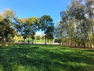 Działka budowlana Korabiewice