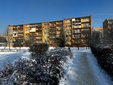 Mieszkanie Piotrków Trybunalski