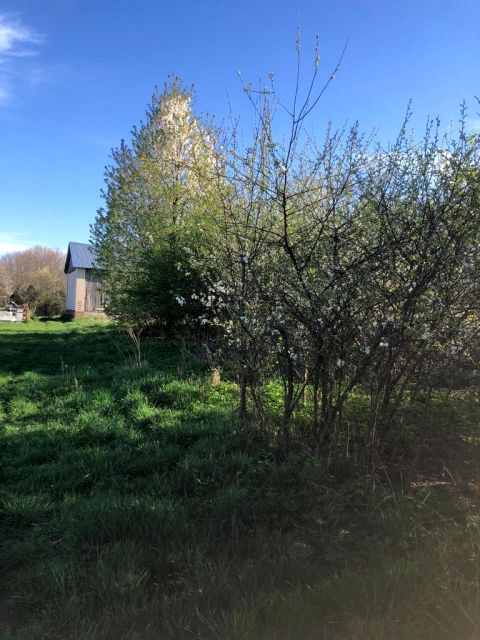 Działka budowlana Anielpol