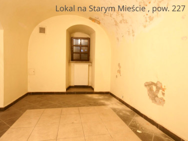 Lokal Lublin