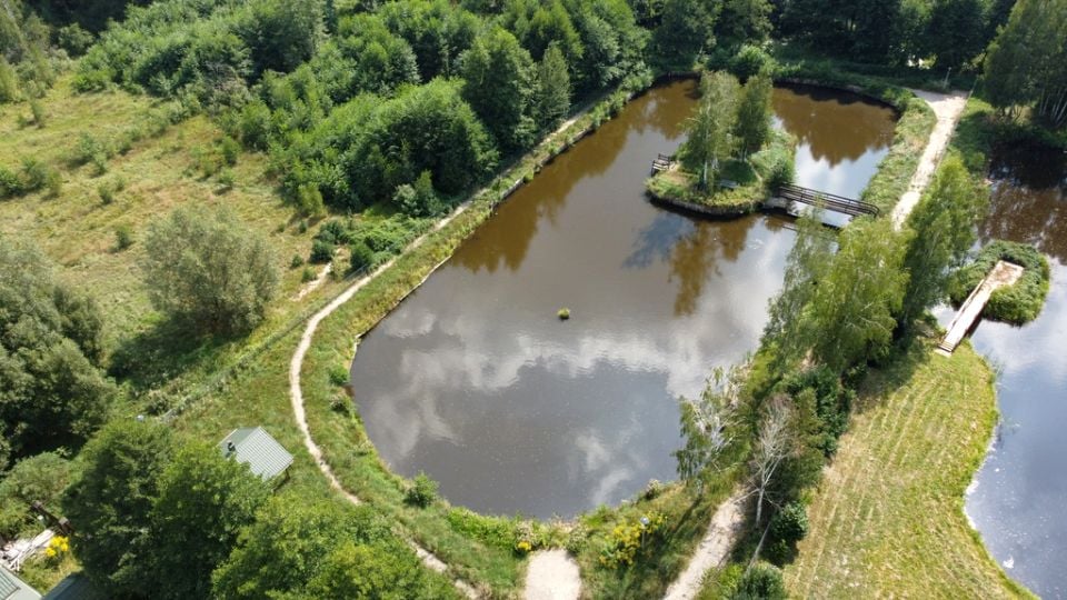 Zdjęcie 2