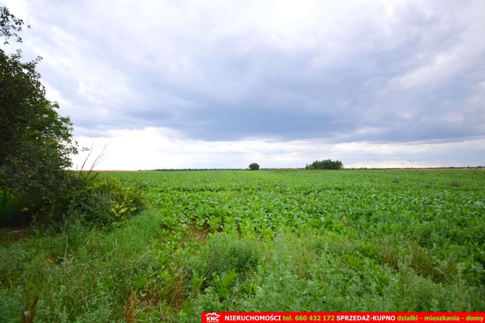 Działka usługowa Osmolice Pierwsze