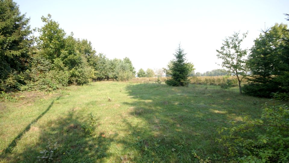 Działka budowlana Gołąb