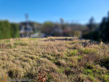 Działka usługowa Maciejowice