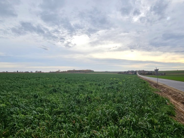 Działka budowlana Zalesie sprzedam