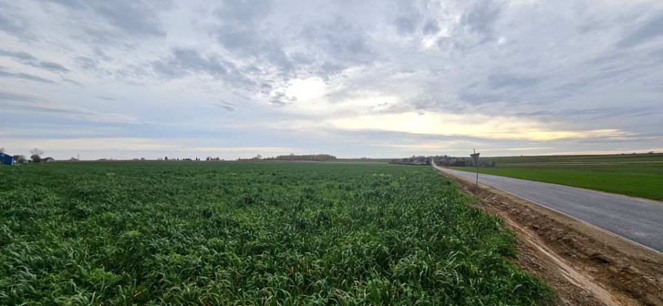 Działka budowlana Zalesie sprzedam